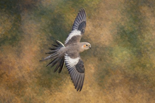Untitled wildlife artwork