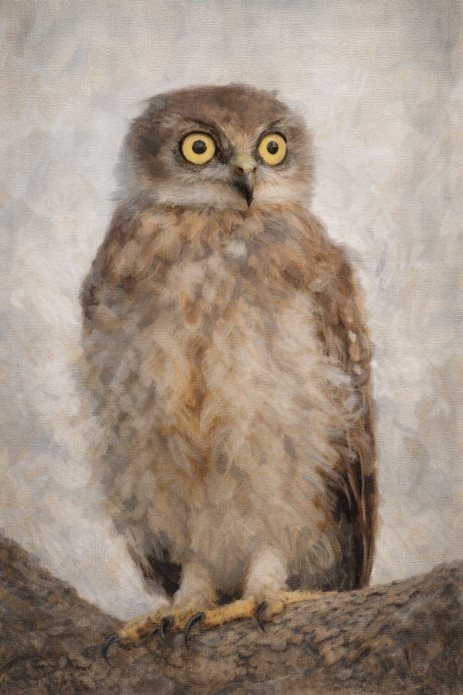 Untitled wildlife artwork