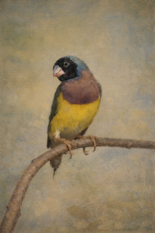 Untitled wildlife artwork