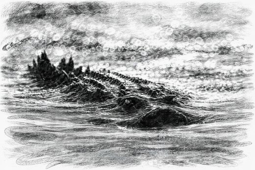 Untitled wildlife artwork