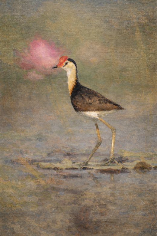 Untitled wildlife artwork