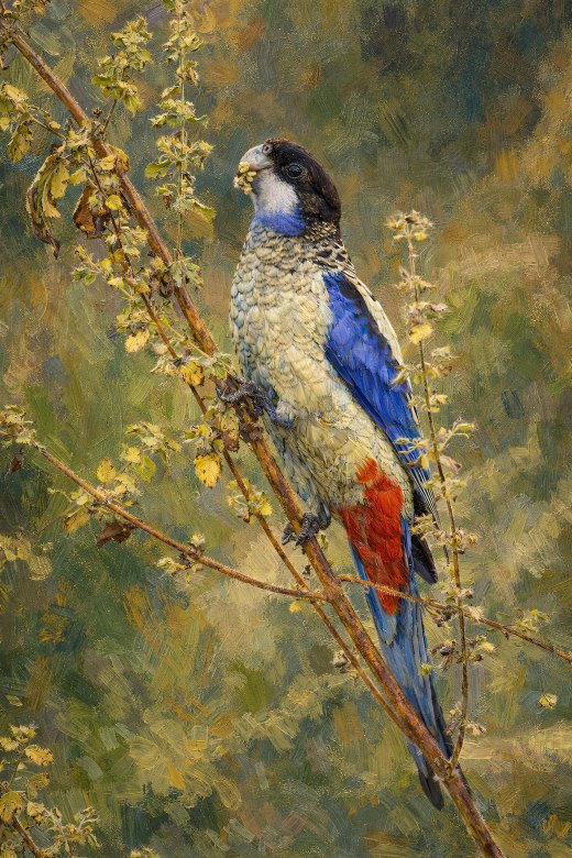 Untitled wildlife artwork