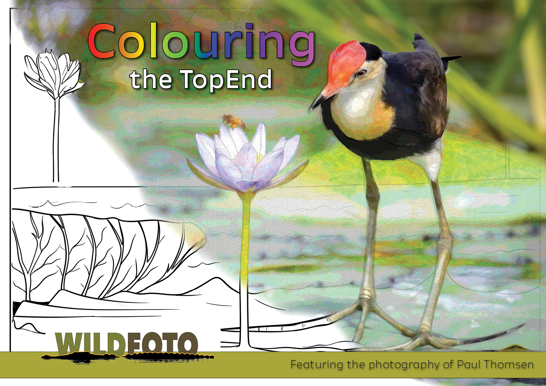 Colouring the Top End